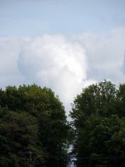 ein Wolkenbaum
