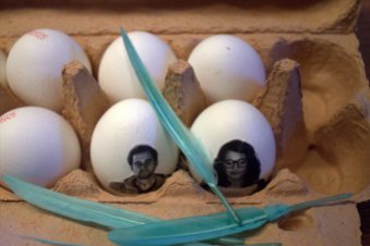 wer sitzt denn da im Eierkarton ?